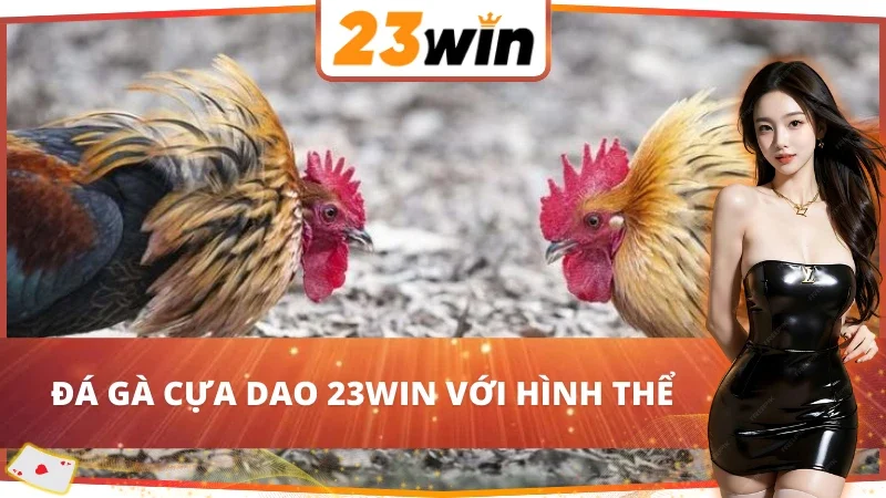 Yếu tố hình thể trong Đá Gà Cựa Dao 23WIN