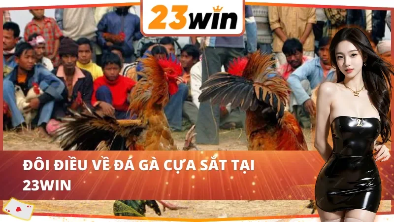 Những nét cơ bản về đá gà cựa sắt