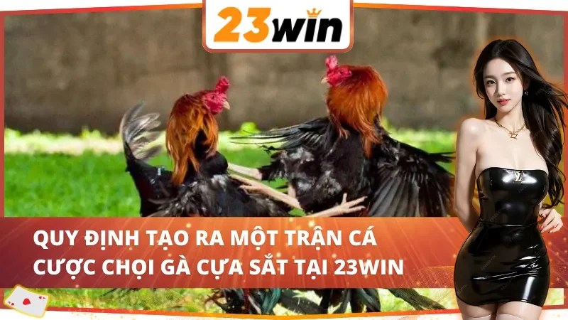 Chi tiết các quy định về đá gà cựa sắt