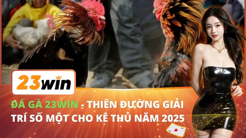 Đá Gà 23Win - Thiên Đường Giải Trí Số Một Cho Kê Thủ Năm 2026