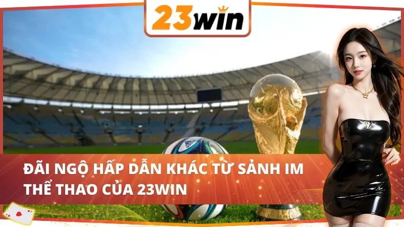 Quyền lợi đặc biệt khi chơi tại IM Thể Thao 23WIN