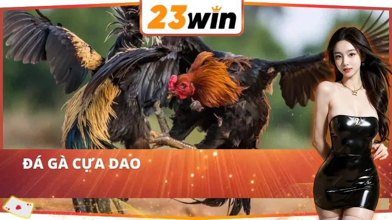 WS168 Đá Gà – Trường Gà Sôi Động Riêng Cho AE Cược Thủ 23WIN 4 Đá gà cựa dao kịch tính tại WS168 Đá Gà 23WIN